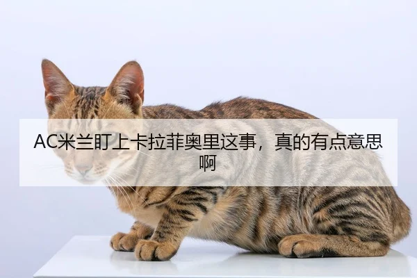 mi-lan-ding-shang-ka-la-fei-ao-li-zhe-shi-zhen-de-you-dian-yi-si-a-2-531.jpg