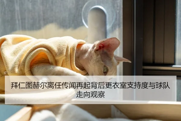 拜仁图赫尔离任传闻再起背后更衣室支持度与球队走向观察